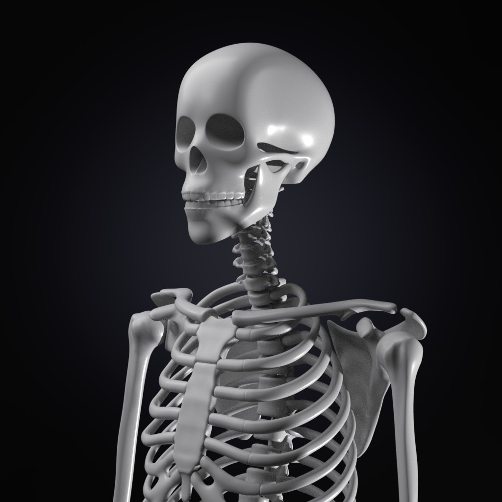 Skeleton preview image 1